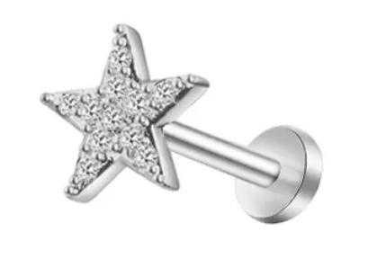 Silver - Stainless Steel Star Nose Stud